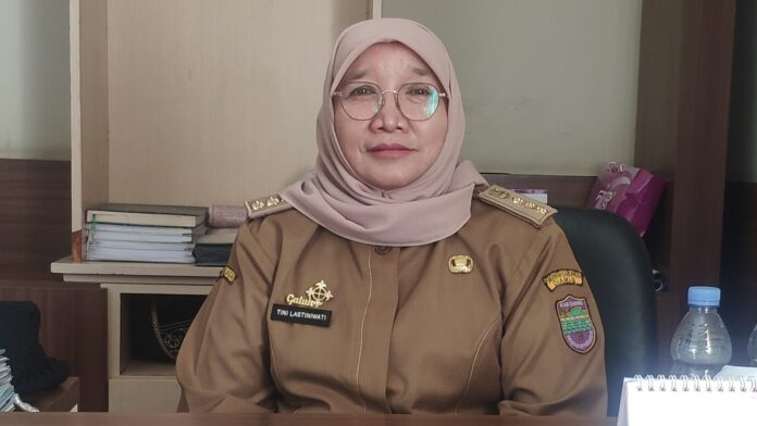 PPPK Paruh waktu@fokusjabar.id