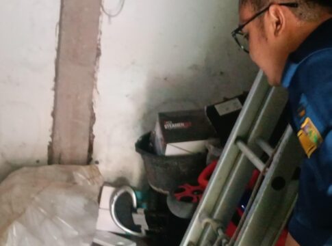 ular kobra fokusjabar.id