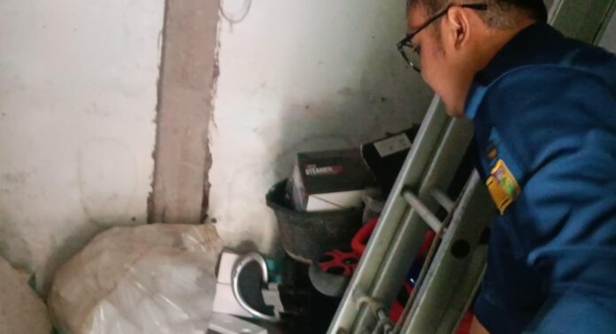 f66f8be1-e09f-42e0-b917-56589d3ac089 ular kobra fokusjabar.id