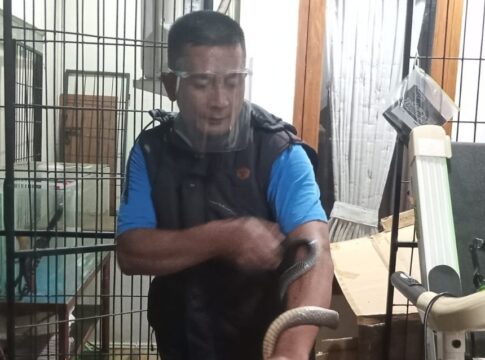 uptd damkar ciamis fokusjabar.id