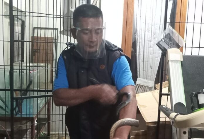 uptd damkar ciamis fokusjabar.id