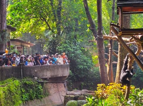 Wali Kota Bandung fokusjabar.id