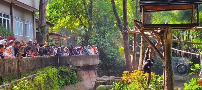 Wali Kota Bandung fokusjabar.id