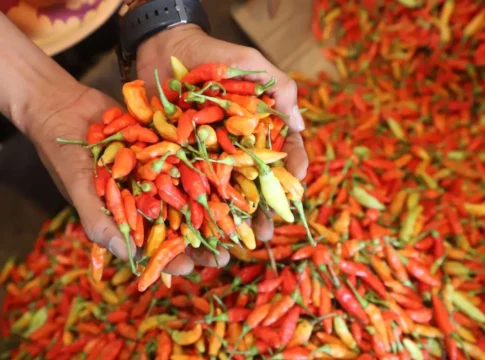 Pangandaran@Fokusjabar.id