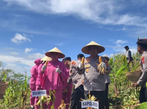 pangandaran@fokusjabar.id