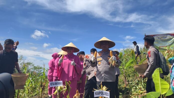pangandaran@fokusjabar.id