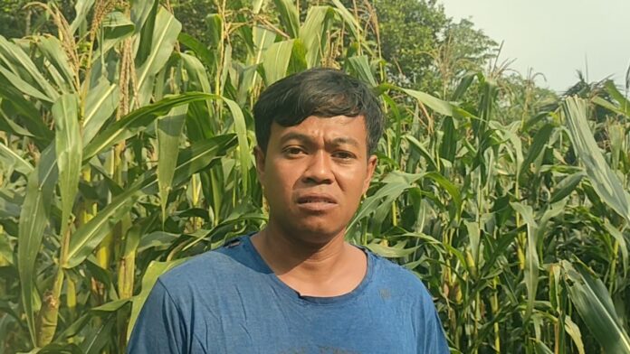 Petani Muda Pangandaran fokusjabar.id