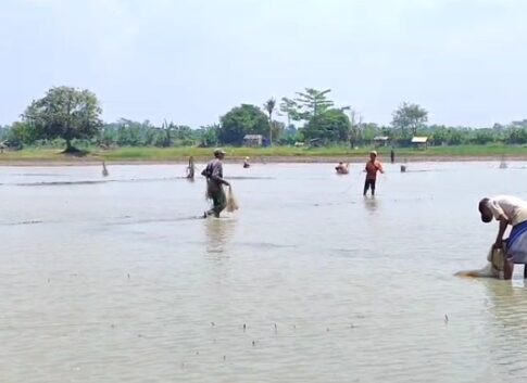 banjir ciganjeng pangandaran@fokusjabar.id