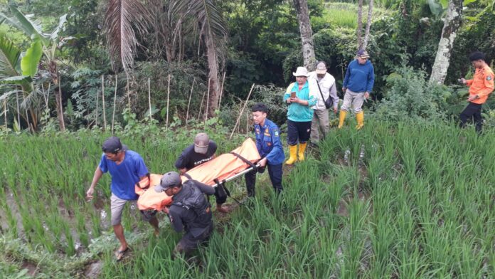 hendrik garut@fokusjabar.id