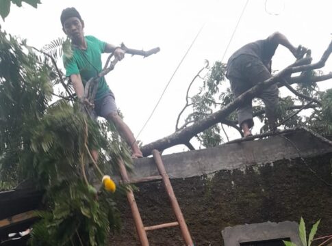 Ciamis@Fokusjabar.id