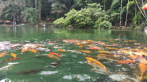 Majalengka@Fokusjabar.id