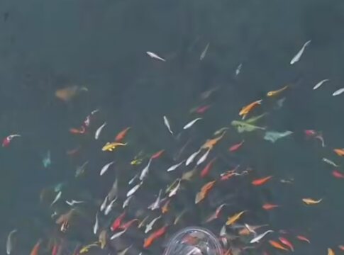 Majalengka, FOKUSJabar.id