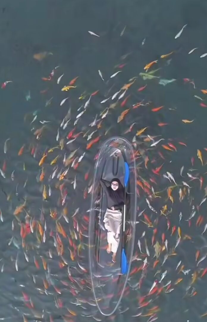 Istana Koi Sultan Majalengka FOKUSJabar.id