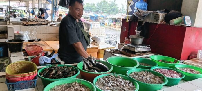 Ketpot: Ajat salahseorang padagang ikan laut segar di pasar ikan terladu pasar manis ciamis CIamis, FOKUSJabar.id