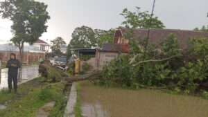 sukaluyu fokusjabar.id