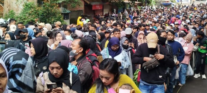 bandung zoo fokusjabar.id