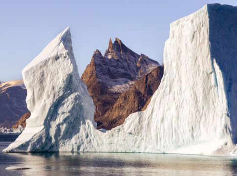 Hewan Greenland fokusjabar.id