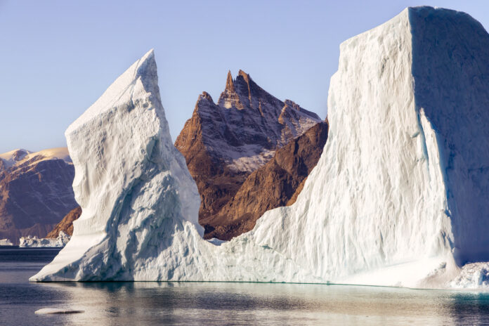 Hewan Greenland fokusjabar.id