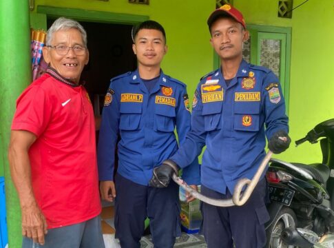 Ular Korros Ciamis, FOKUSJabar.,id