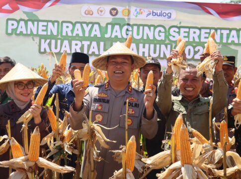 jagung ciamis@fokusjabar.id
