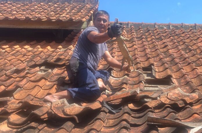 damkar ciamis@fokusjabar.id