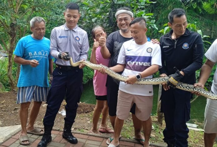 Ciamis, FOKUSJabar.id