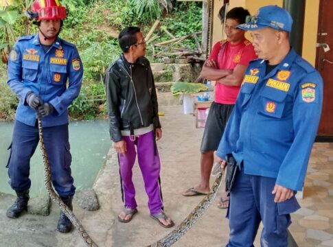 ular sanca damkar ciamis fokusjabar.id