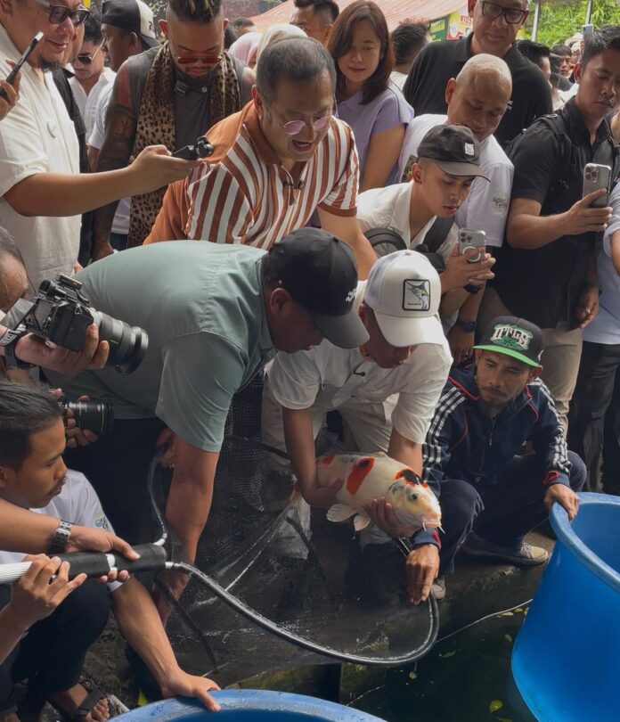 ikan koi majalengka@fokusjabar.id