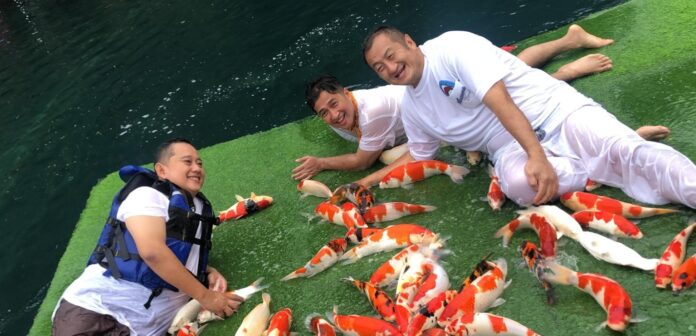 bos koi situ cipanten majalengka@fokusjabar.id