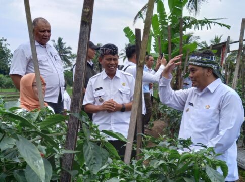 Wakil Wali Kota Tasikmalaya fokusjabar.id