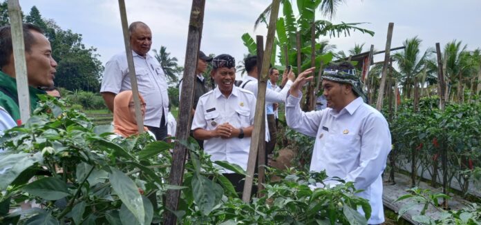 ab55c5f6-914d-445b-a0ea-0c752c43b5e3 Wakil Wali Kota Tasikmalaya fokusjabar.id