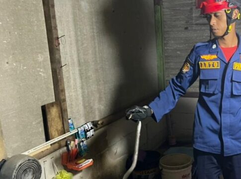 ular kobra jawa fokusjabar,id