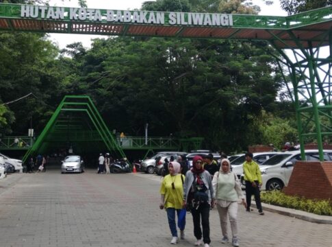 forest walk fokusjabar.id