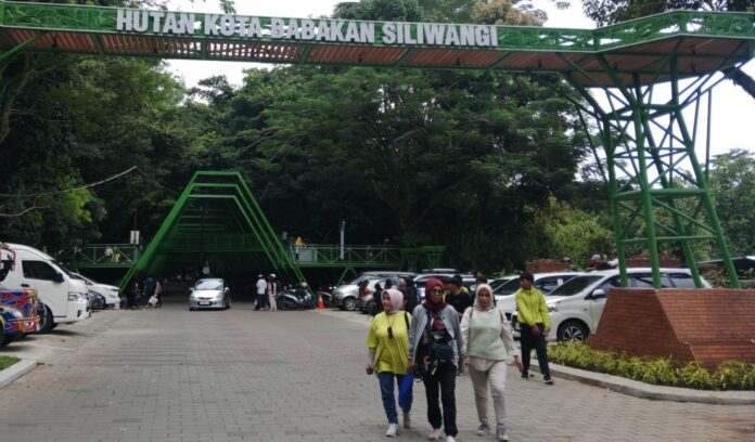 forest walk fokusjabar.id