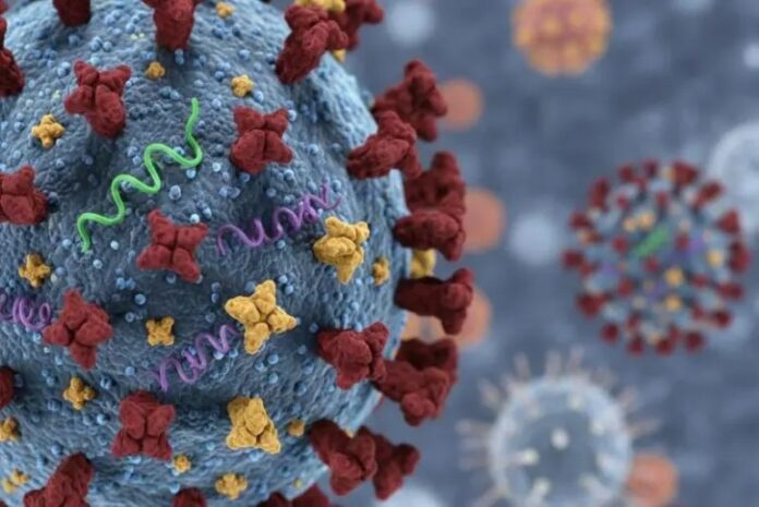 dinkes kota bandung fokusjabar.id