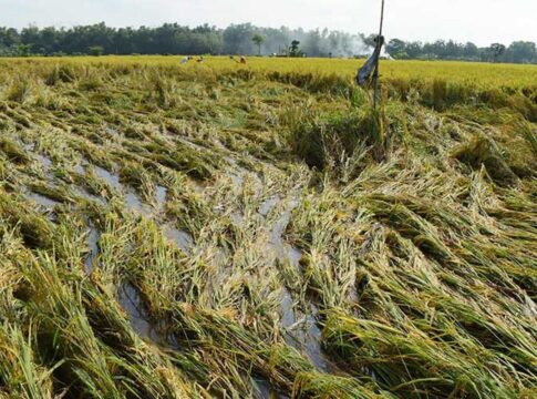 Gubernur Jateng fokusjabar.id