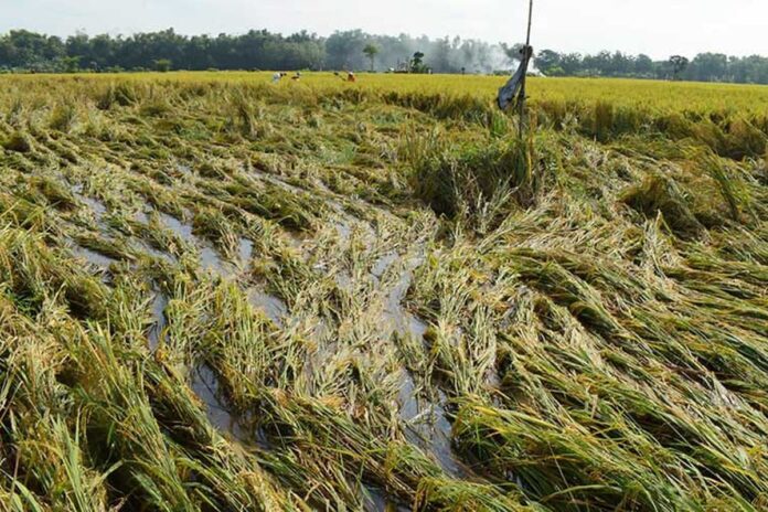 Gubernur Jateng fokusjabar.id