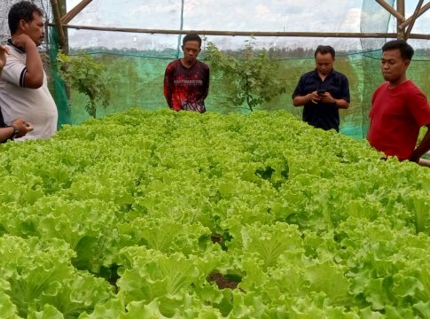 pangandaran@fokusjabar.id