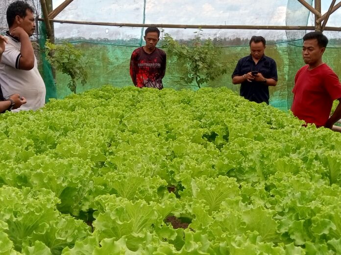 pangandaran@fokusjabar.id