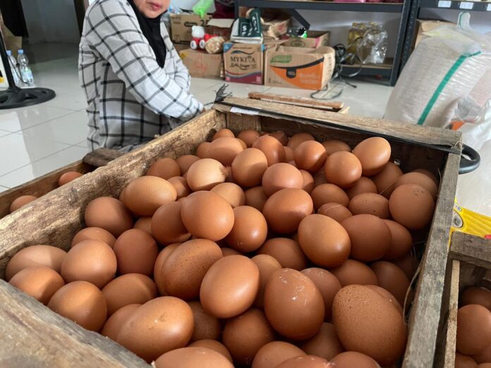 Pangandaran, FOKUSJabar.id