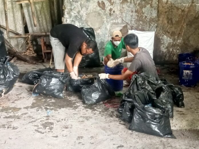 karang taruna pangandaran@fokusjabar.id