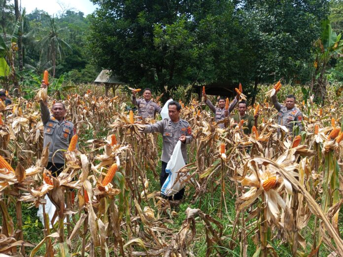 pangandaran@fokusjabar.id