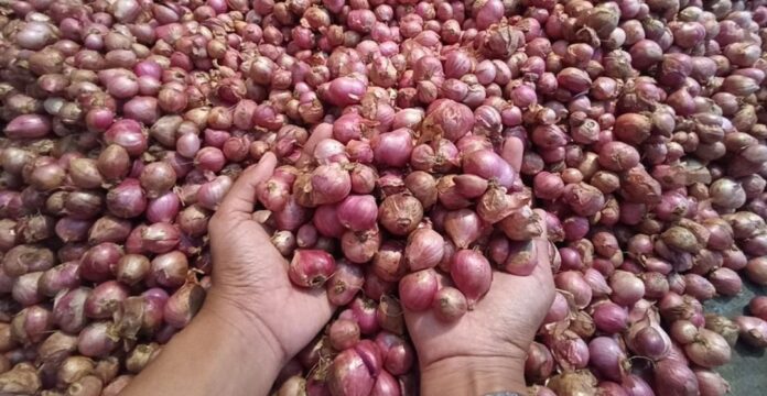 Poto: Ilustrasi by web. Pangandaran, FOKUSJabar.id