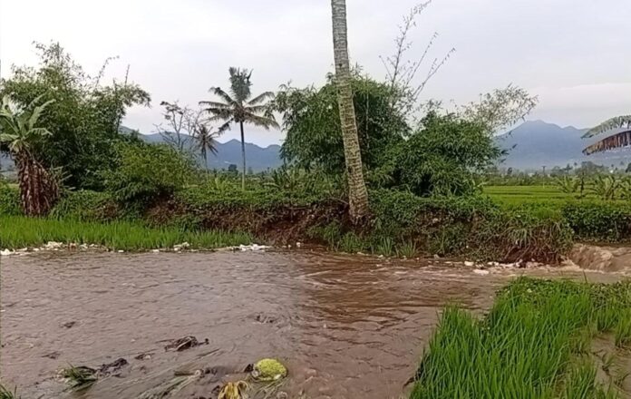 1001069208 hujan deras garut fokusjabar.id