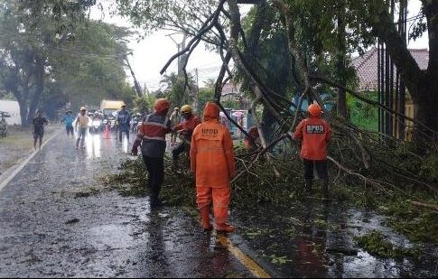 angin kencang ciamis fokusjabar.id