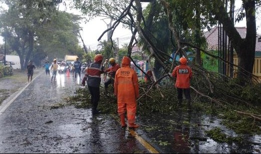 angin kencang ciamis fokusjabar.id