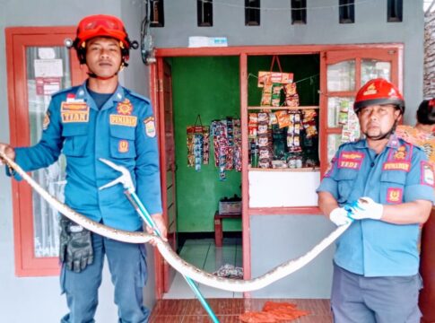 ciamis@fokusjabar.id