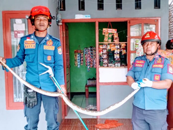 ciamis@fokusjabar.id