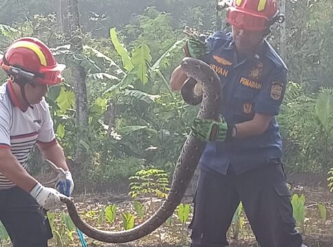 CIAMIS, FOKUSJabar.id