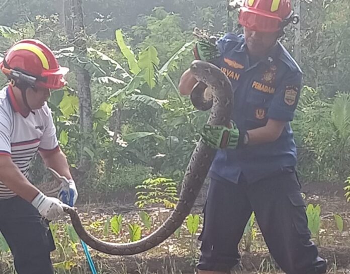 CIAMIS, FOKUSJabar.id